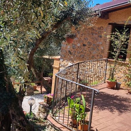 La Merla Del Tasso Camaiore Exterior photo