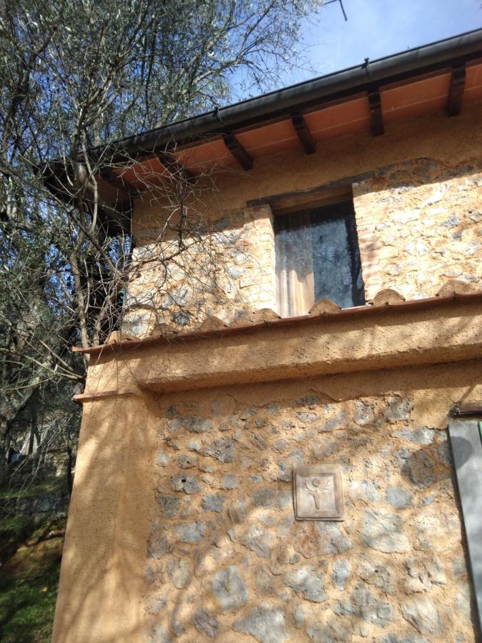 La Merla Del Tasso Camaiore Exterior photo