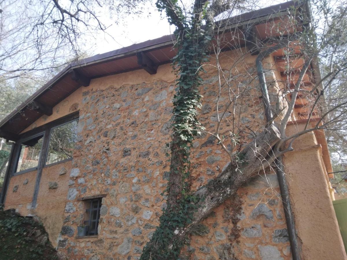 La Merla Del Tasso Camaiore Exterior photo
