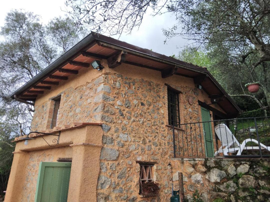 La Merla Del Tasso Camaiore Exterior photo