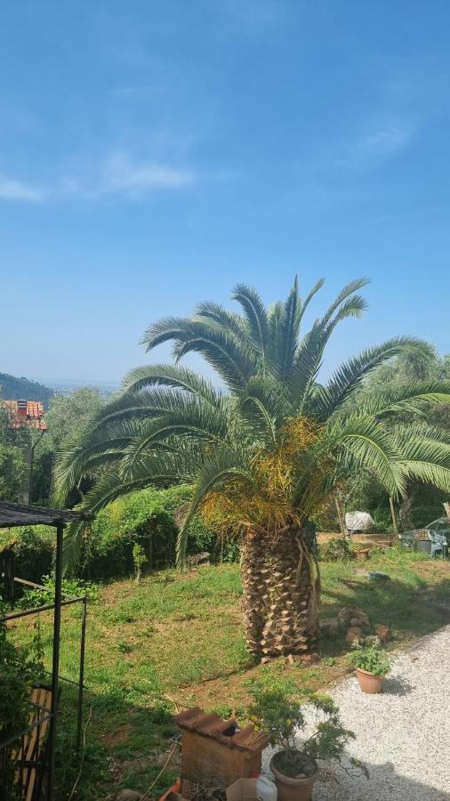 La Merla Del Tasso Camaiore Exterior photo